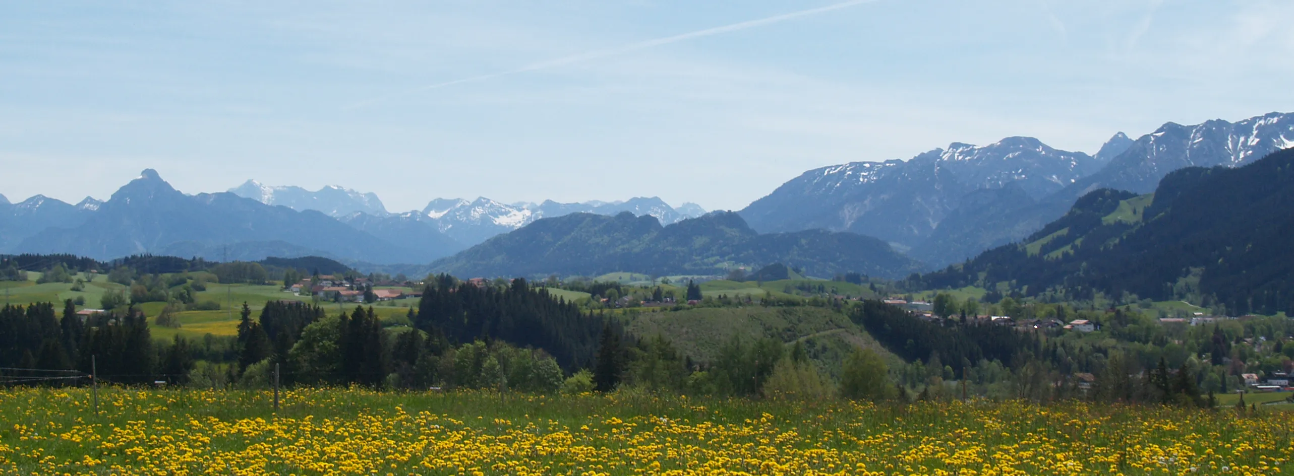 Panorama der Alpenlandschaft im Frühling, wo die Wiese mit gelben Blumen bestückt und die Berge schneeweiß sind.